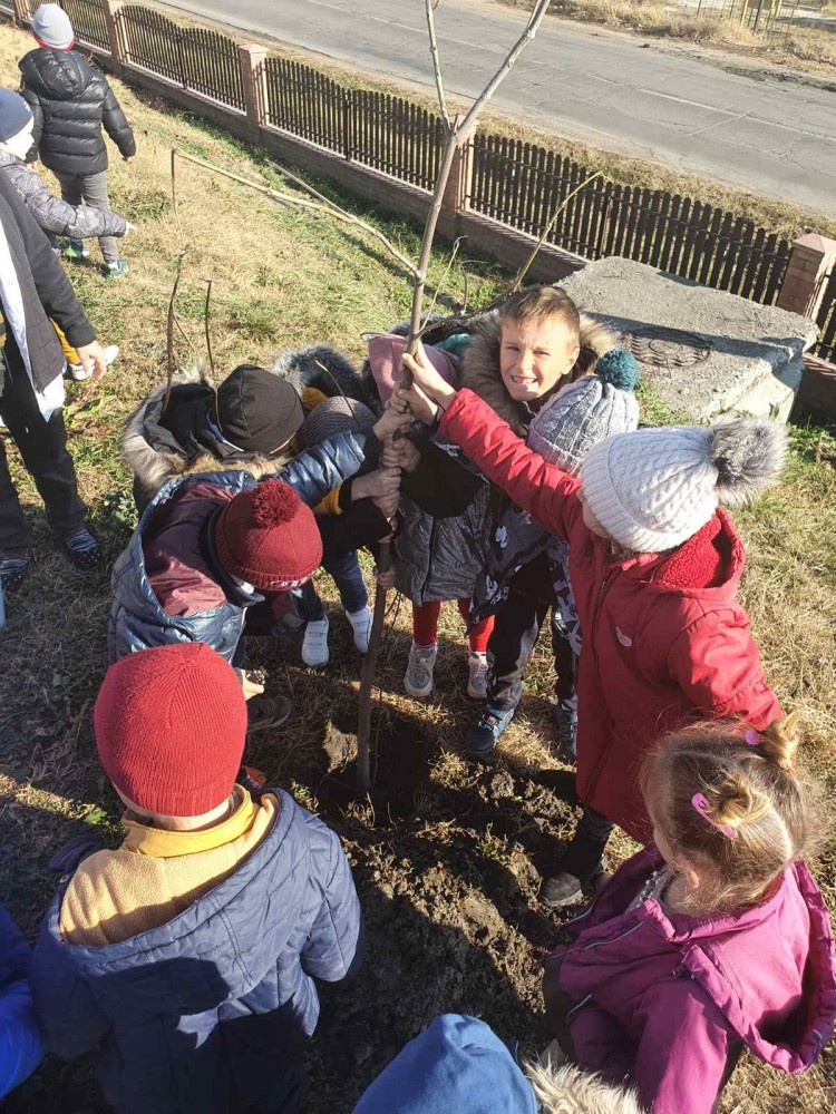 „PLANTEAZĂ-ȚI VIITORUL”